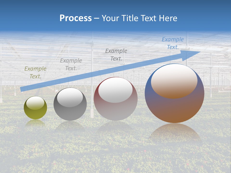 Interior Growth Pattern PowerPoint Template