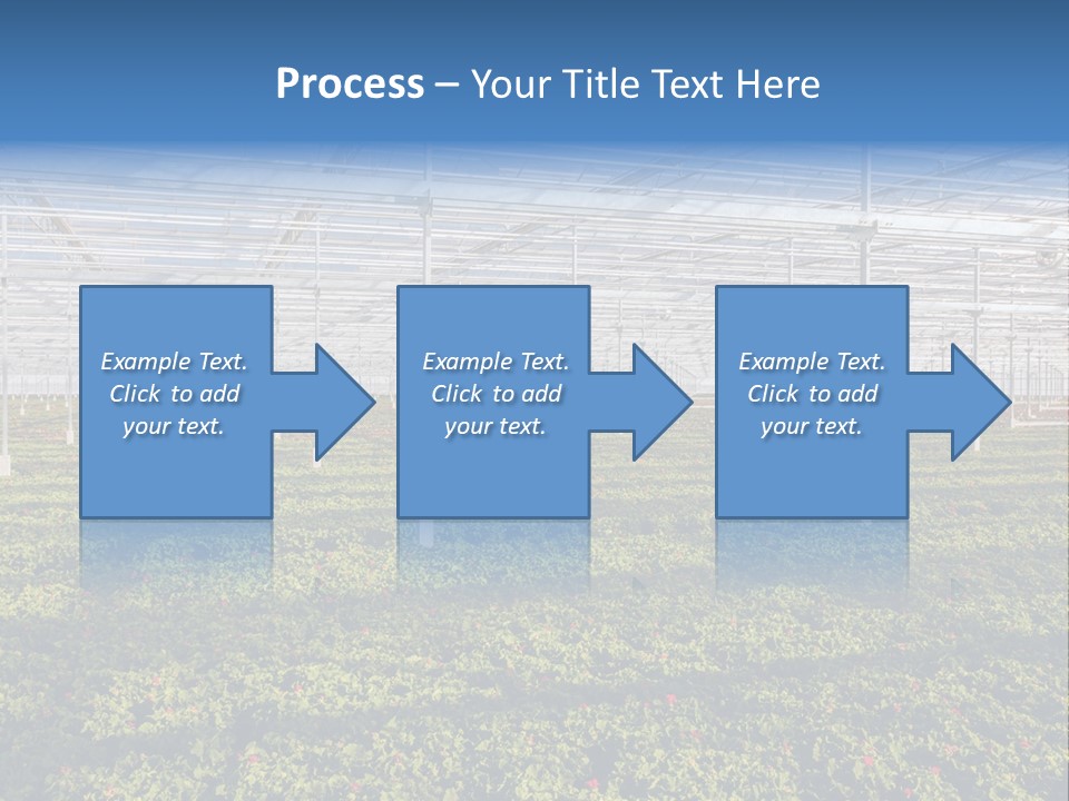 Interior Growth Pattern PowerPoint Template
