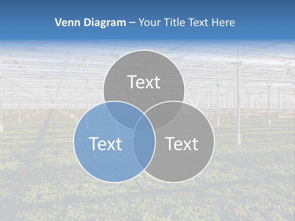 Interior Growth Pattern PowerPoint Template
