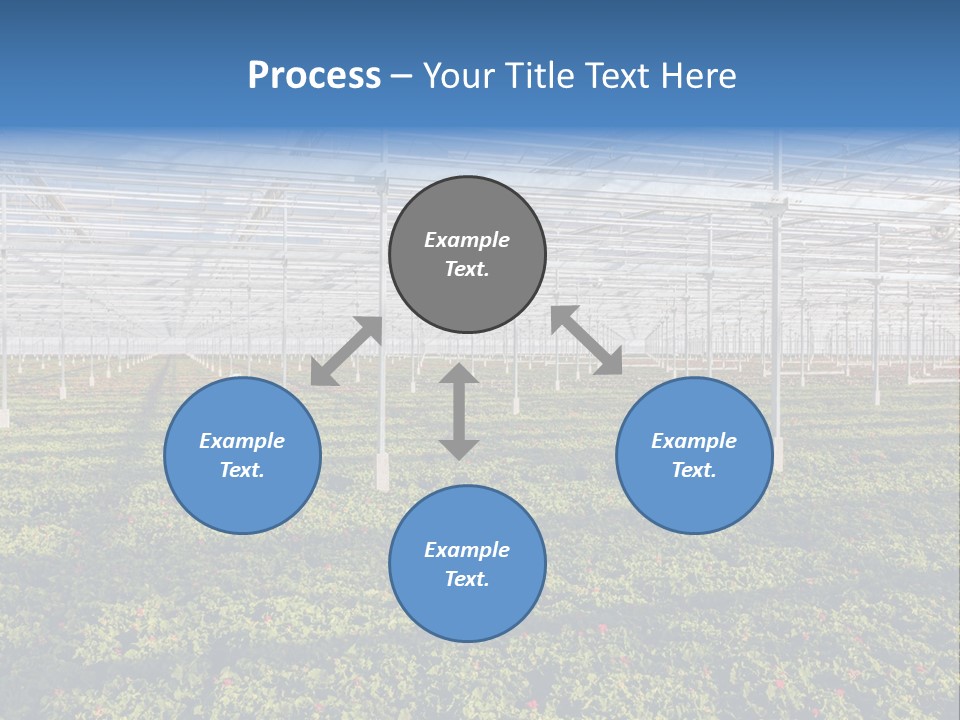 Interior Growth Pattern PowerPoint Template
