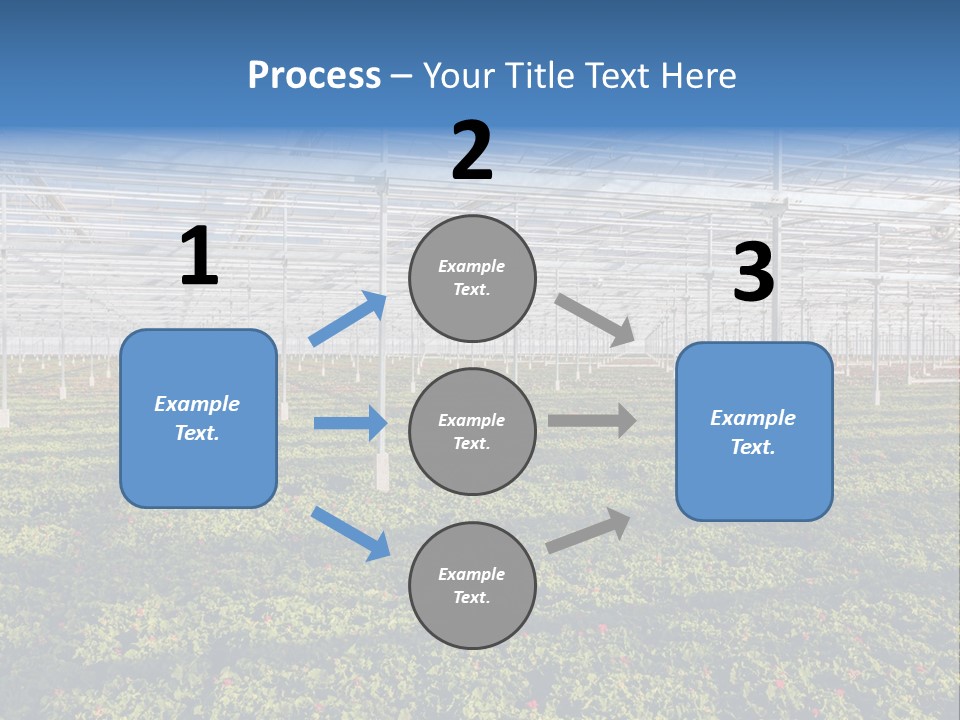 Interior Growth Pattern PowerPoint Template