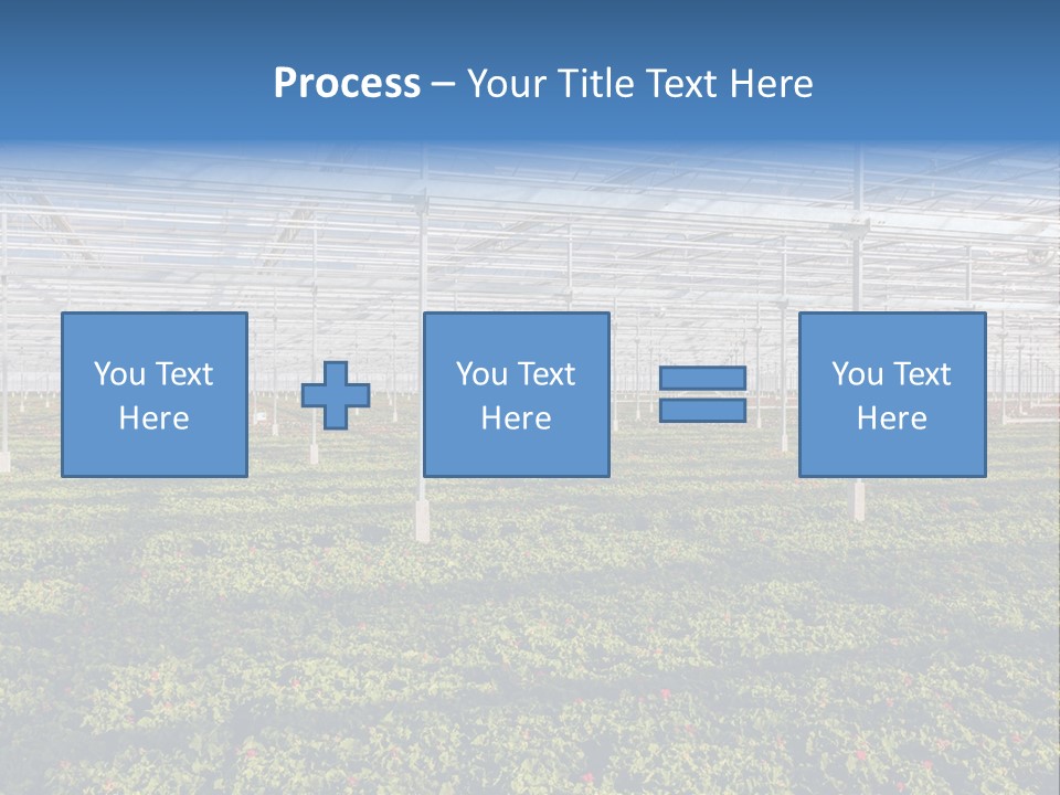 Interior Growth Pattern PowerPoint Template