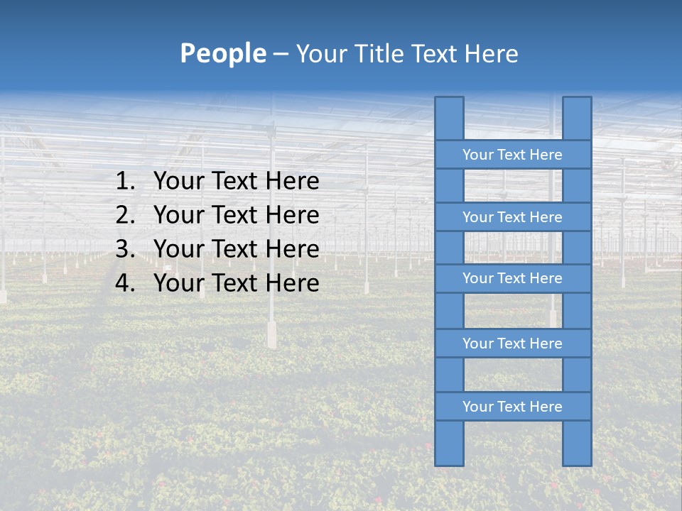 Interior Growth Pattern PowerPoint Template