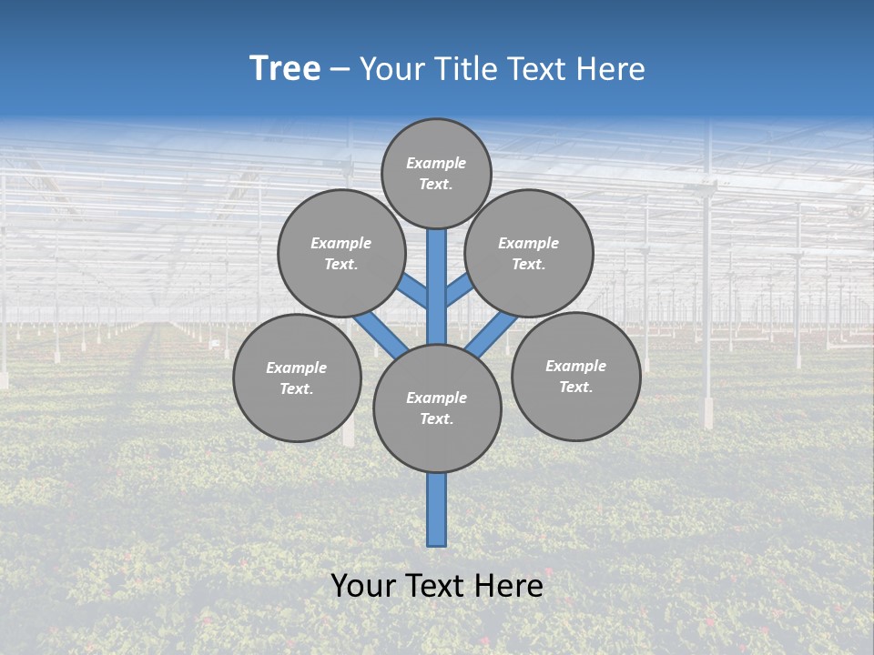 Interior Growth Pattern PowerPoint Template