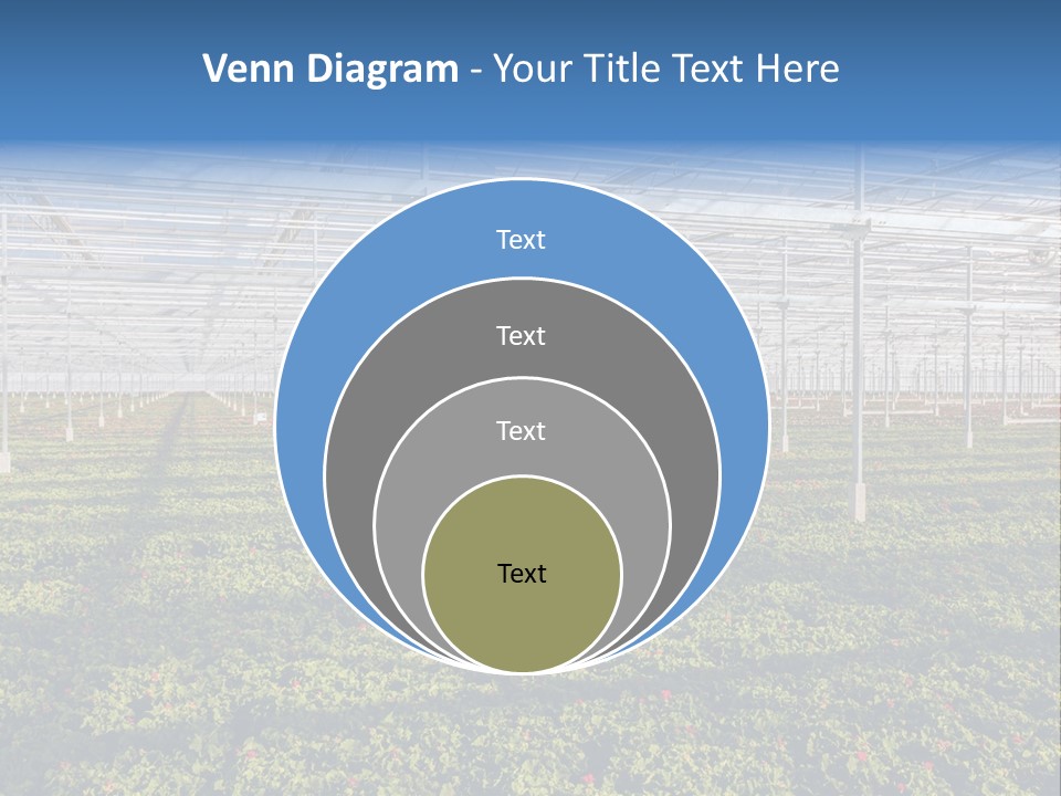 Interior Growth Pattern PowerPoint Template
