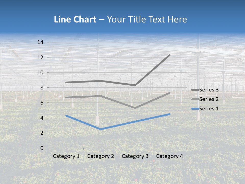 Interior Growth Pattern PowerPoint Template