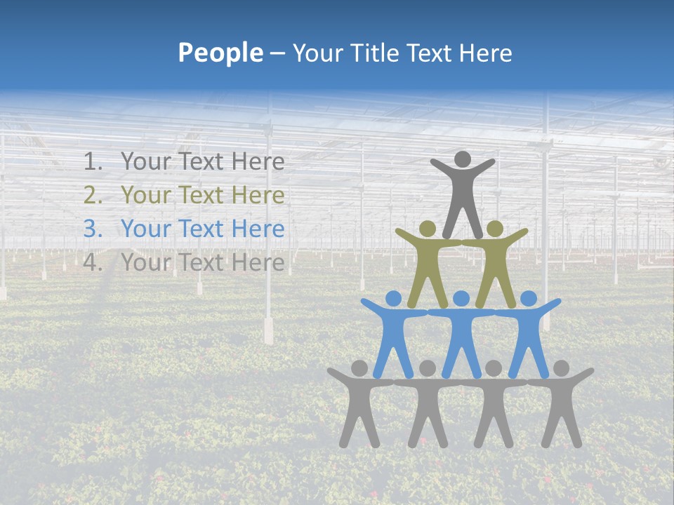 Interior Growth Pattern PowerPoint Template