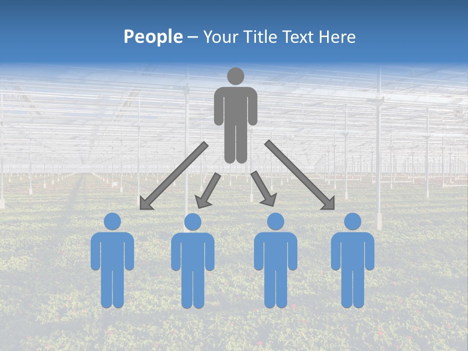 Interior Growth Pattern PowerPoint Template