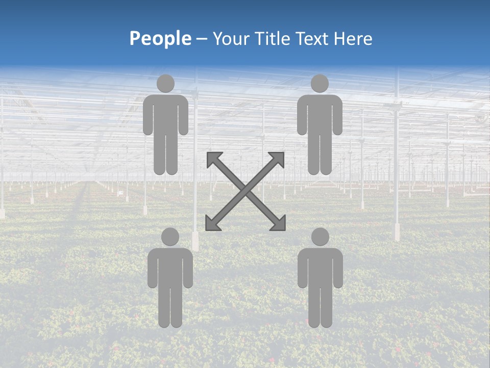 Interior Growth Pattern PowerPoint Template