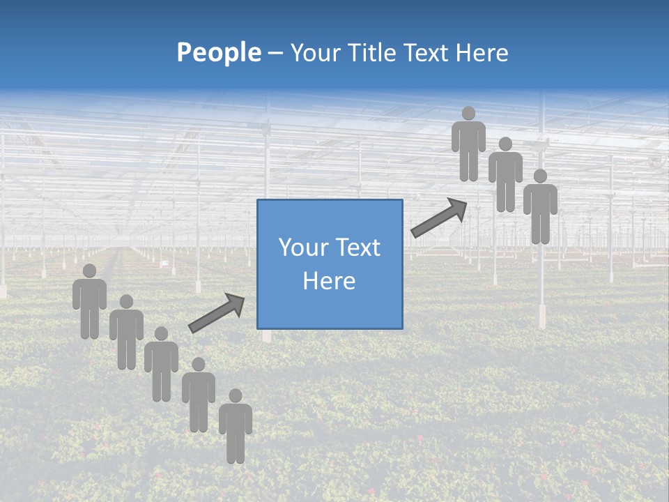Interior Growth Pattern PowerPoint Template