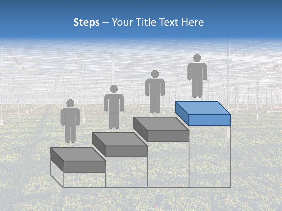 Interior Growth Pattern PowerPoint Template