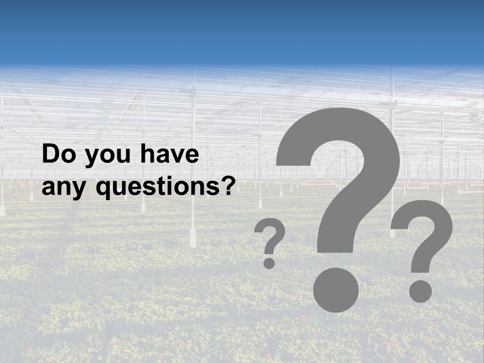 Interior Growth Pattern PowerPoint Template