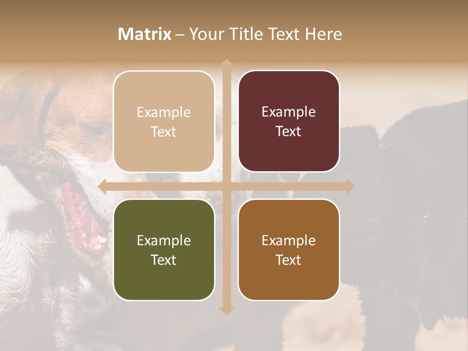 Animal Racing Active PowerPoint Template