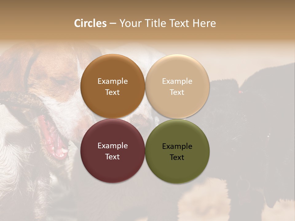 Animal Racing Active PowerPoint Template