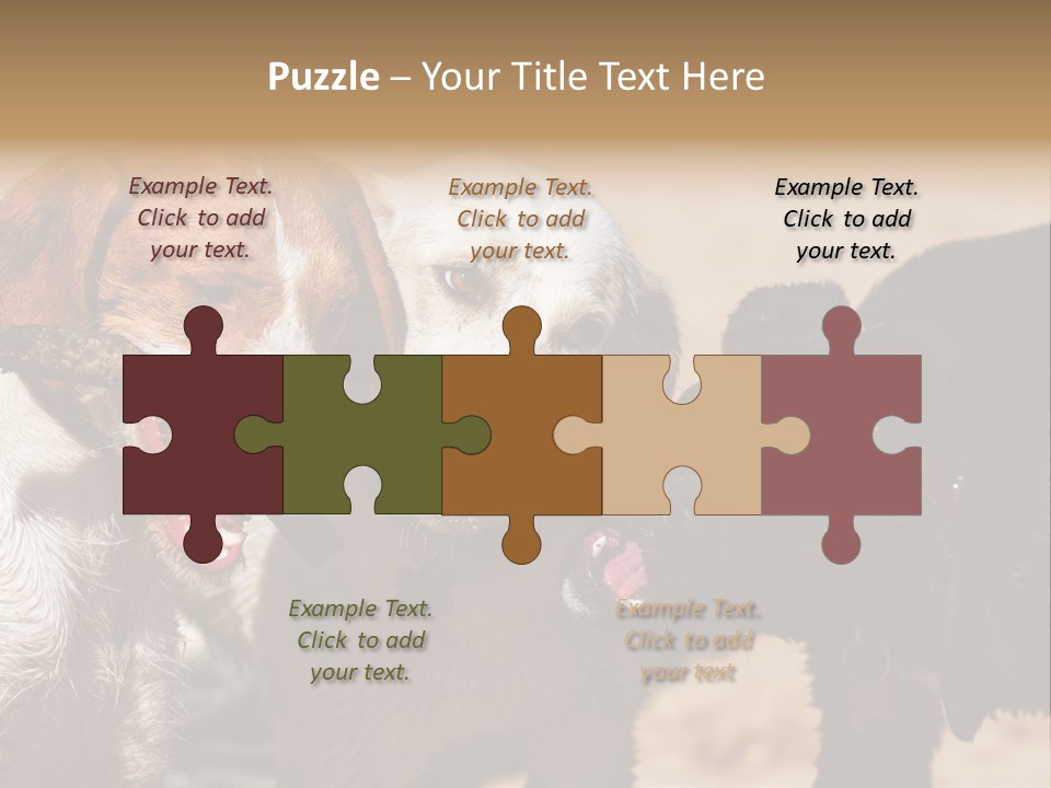 Animal Racing Active PowerPoint Template