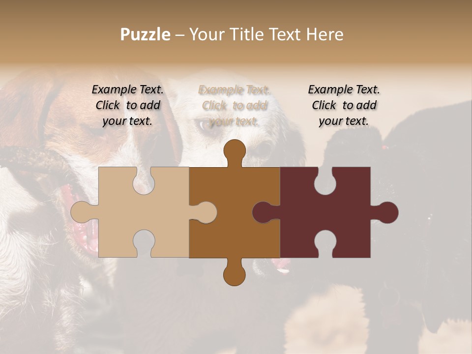 Animal Racing Active PowerPoint Template