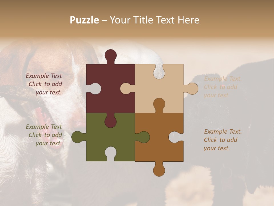 Animal Racing Active PowerPoint Template