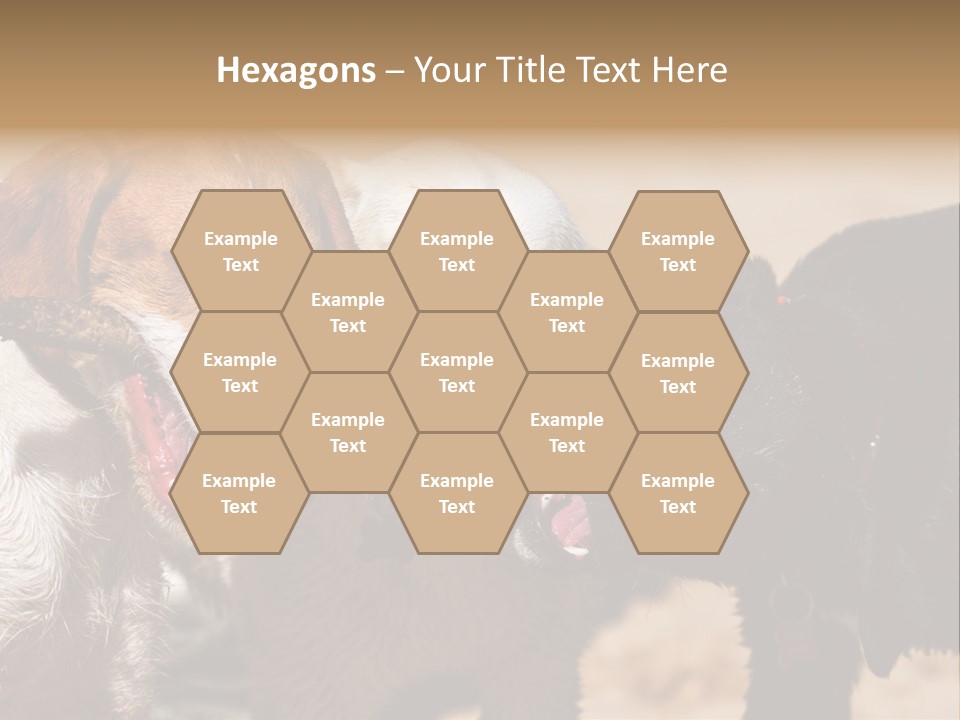 Animal Racing Active PowerPoint Template