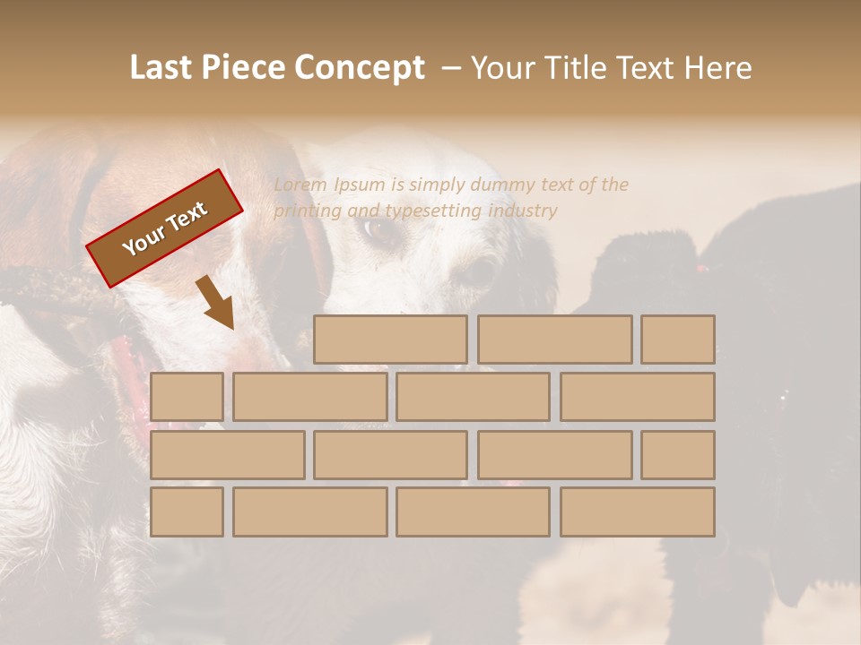Animal Racing Active PowerPoint Template