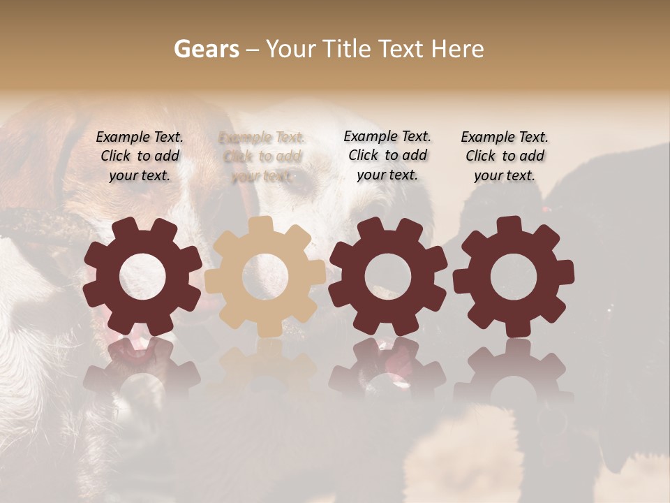 Animal Racing Active PowerPoint Template