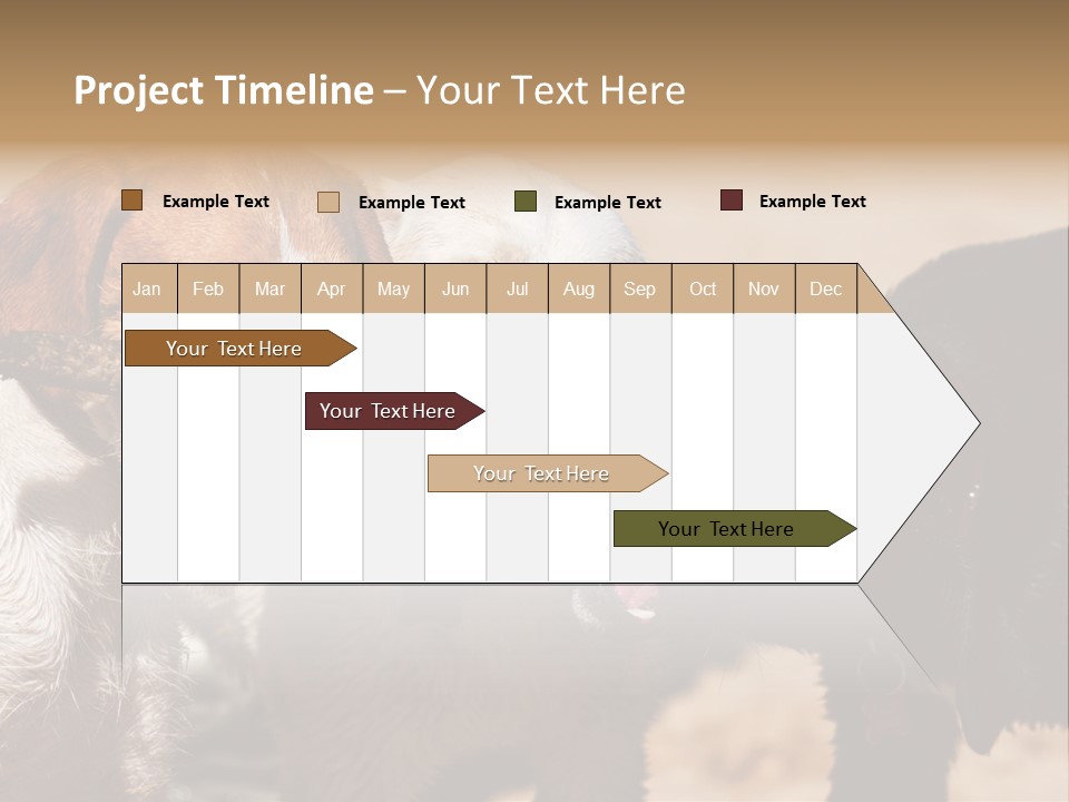 Animal Racing Active PowerPoint Template