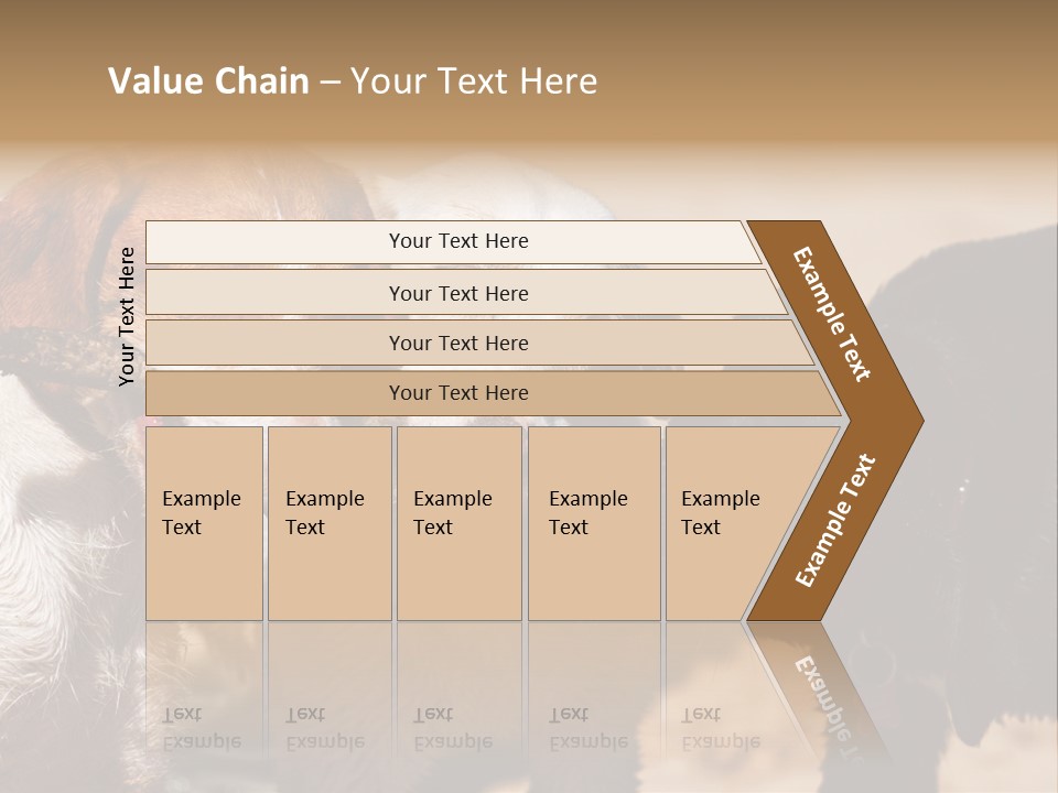 Animal Racing Active PowerPoint Template