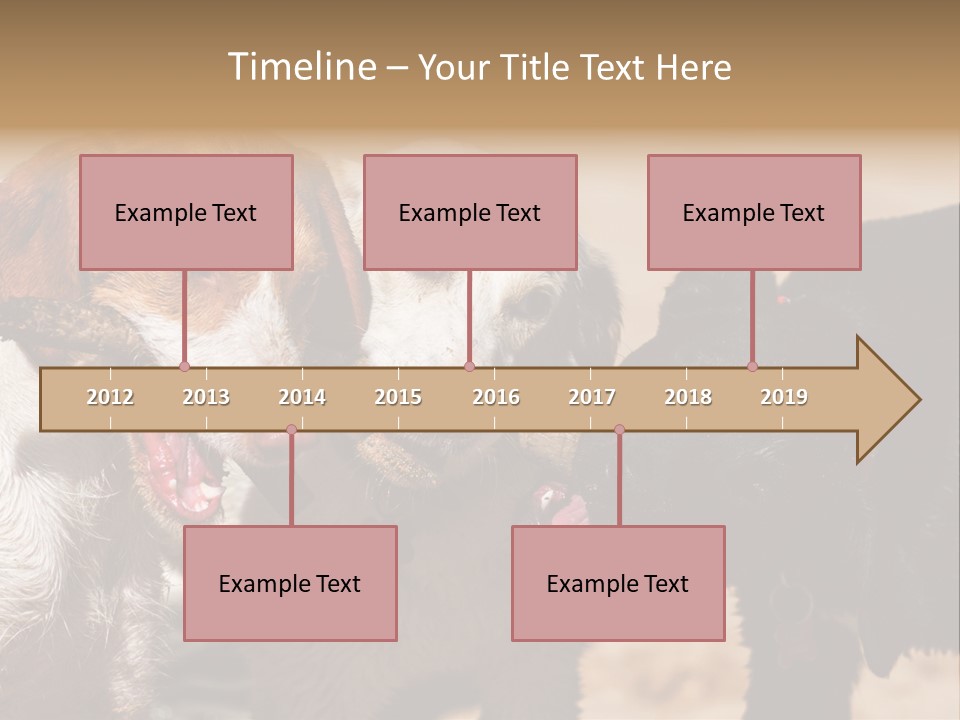Animal Racing Active PowerPoint Template
