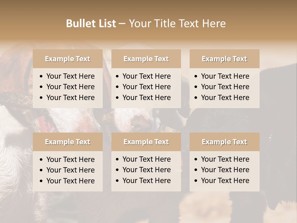 Animal Racing Active PowerPoint Template