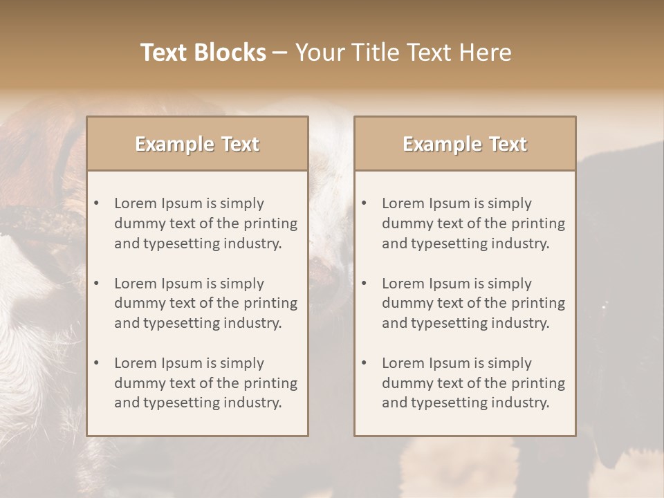 Animal Racing Active PowerPoint Template