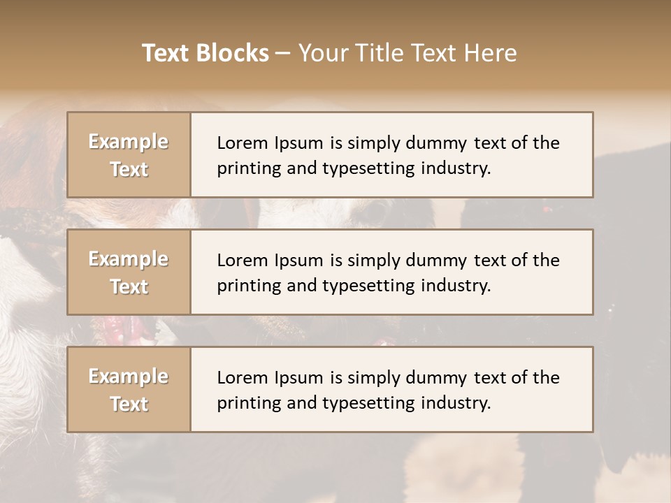 Animal Racing Active PowerPoint Template