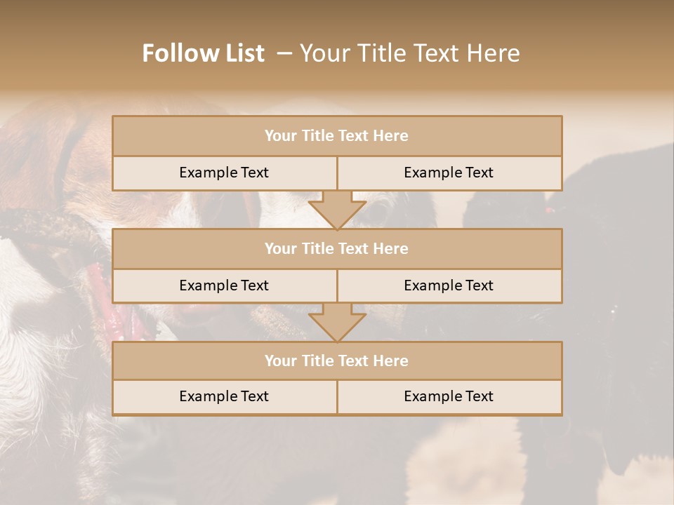 Animal Racing Active PowerPoint Template