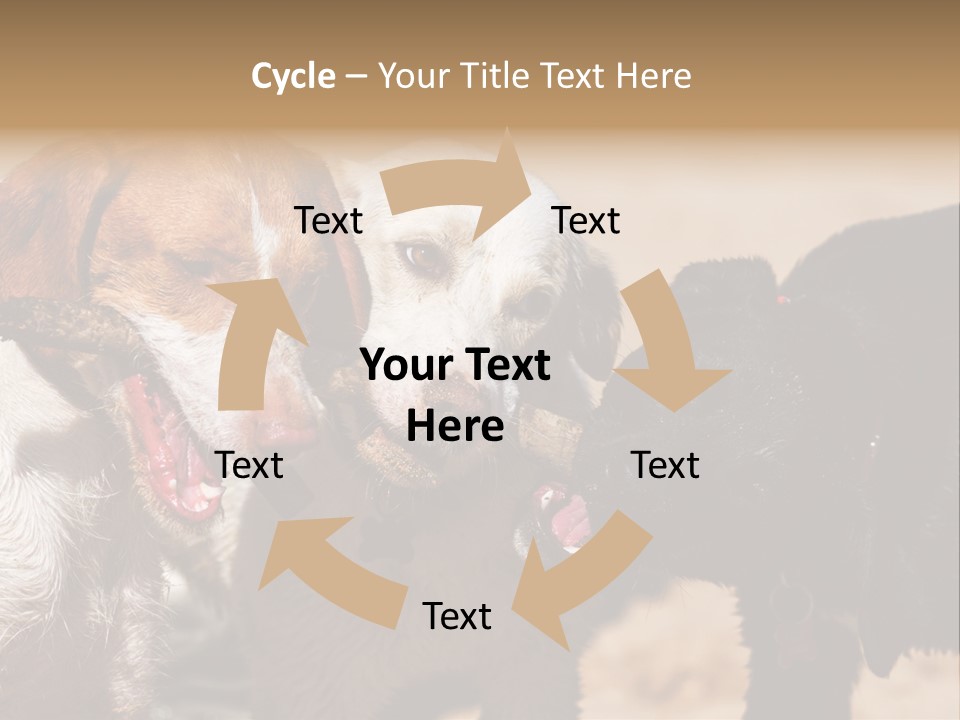 Animal Racing Active PowerPoint Template