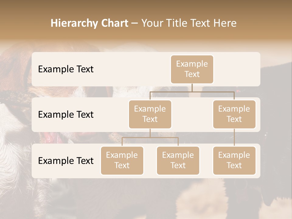 Animal Racing Active PowerPoint Template