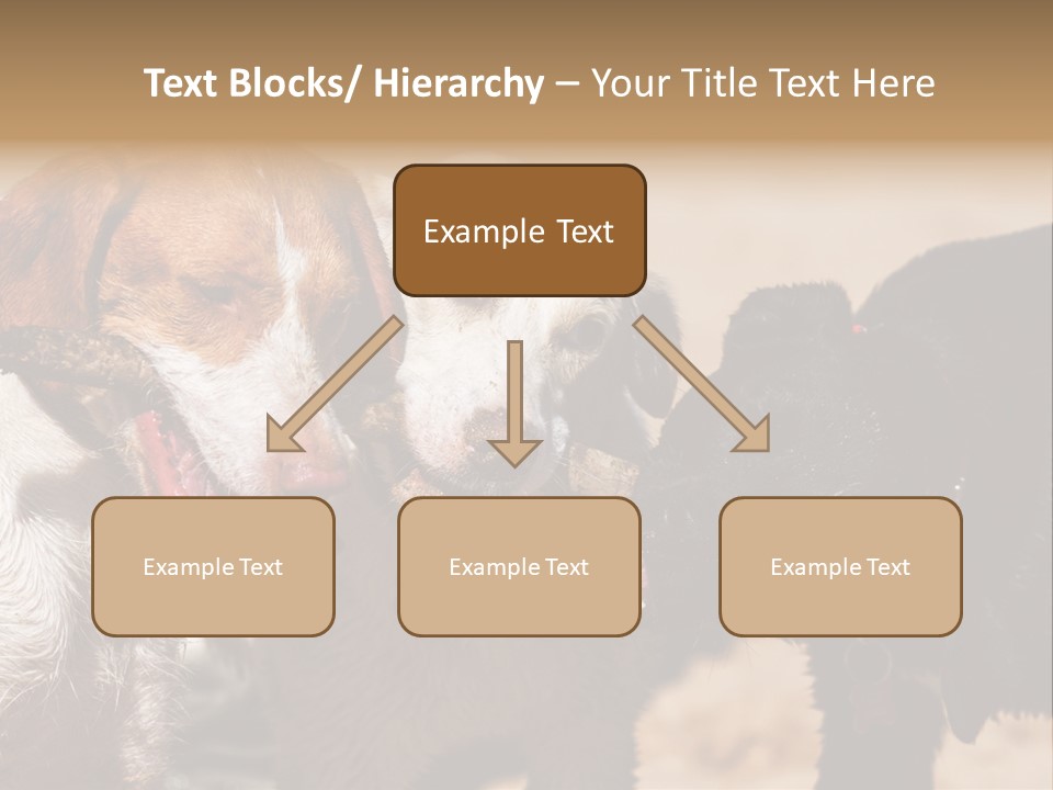 Animal Racing Active PowerPoint Template