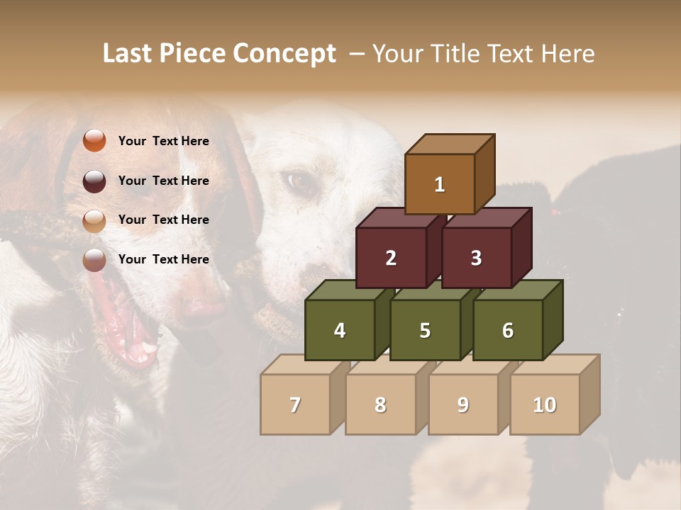 Animal Racing Active PowerPoint Template
