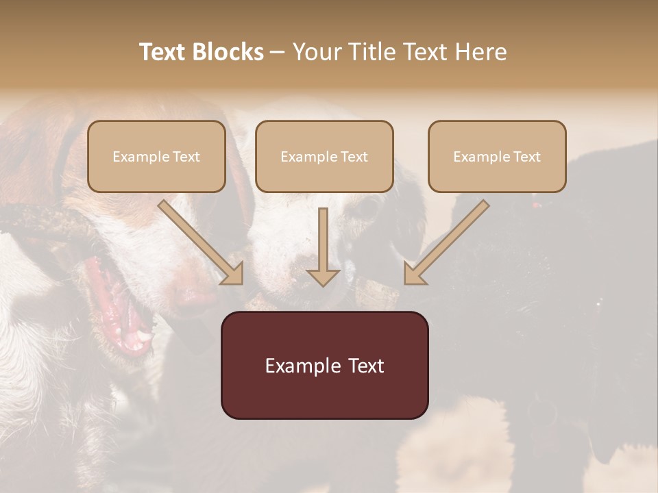 Animal Racing Active PowerPoint Template
