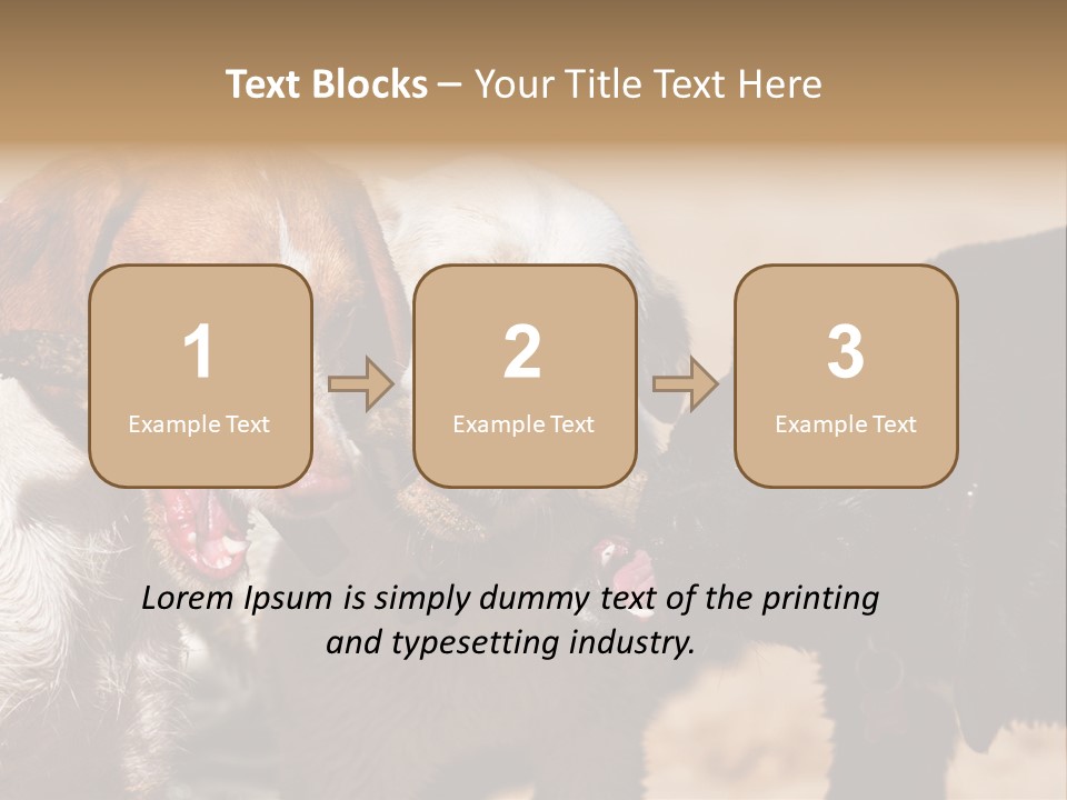 Animal Racing Active PowerPoint Template