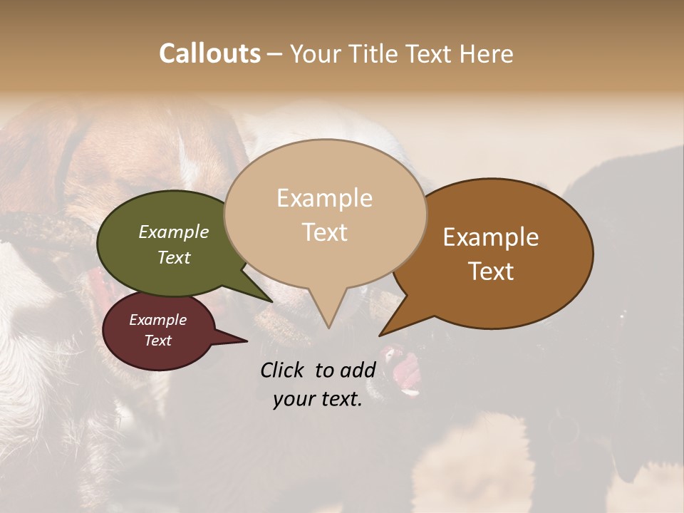 Animal Racing Active PowerPoint Template