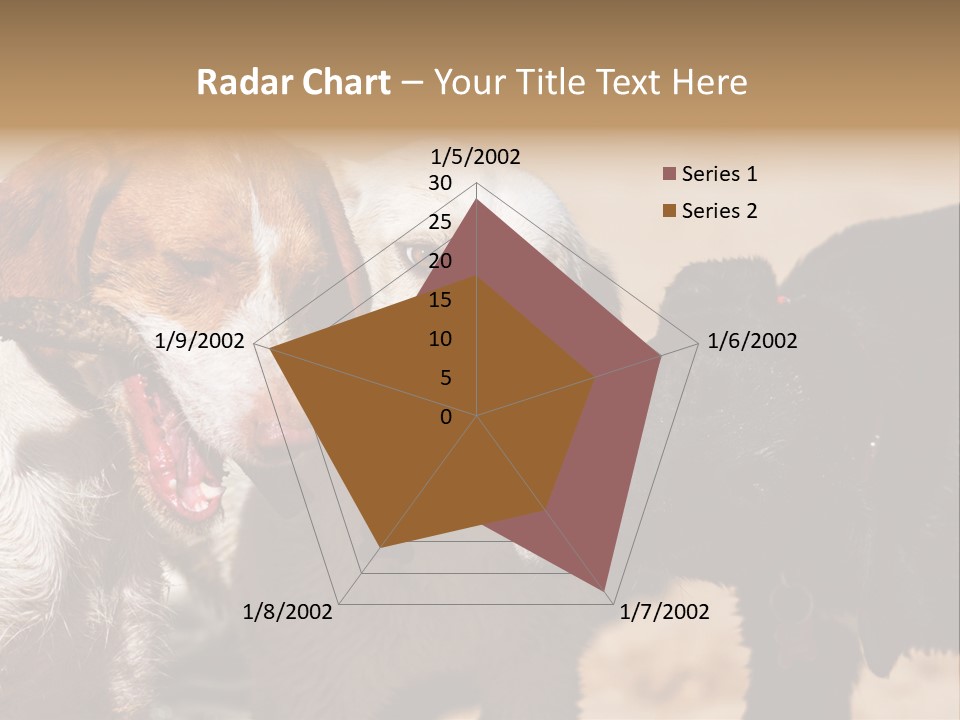 Animal Racing Active PowerPoint Template
