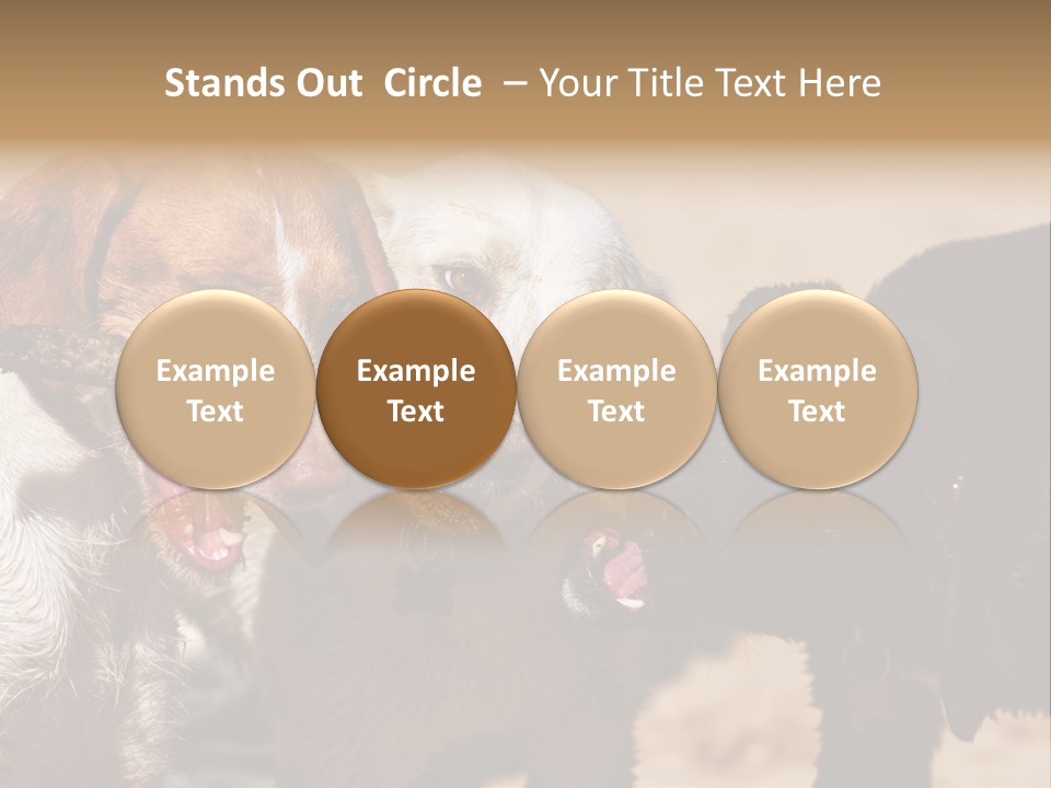 Animal Racing Active PowerPoint Template