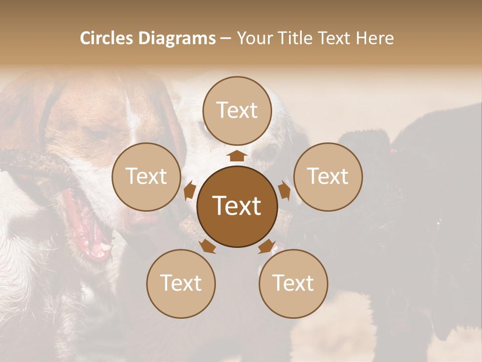 Animal Racing Active PowerPoint Template