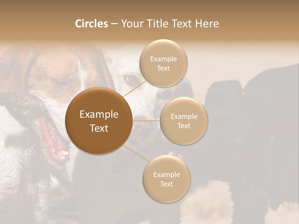 Animal Racing Active PowerPoint Template