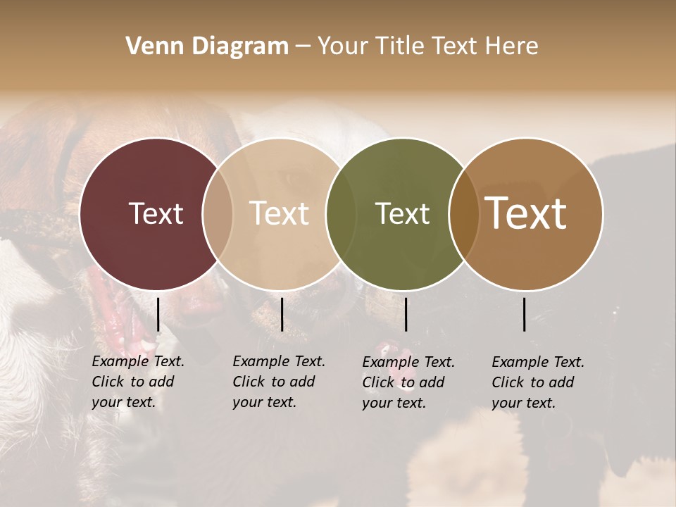 Animal Racing Active PowerPoint Template