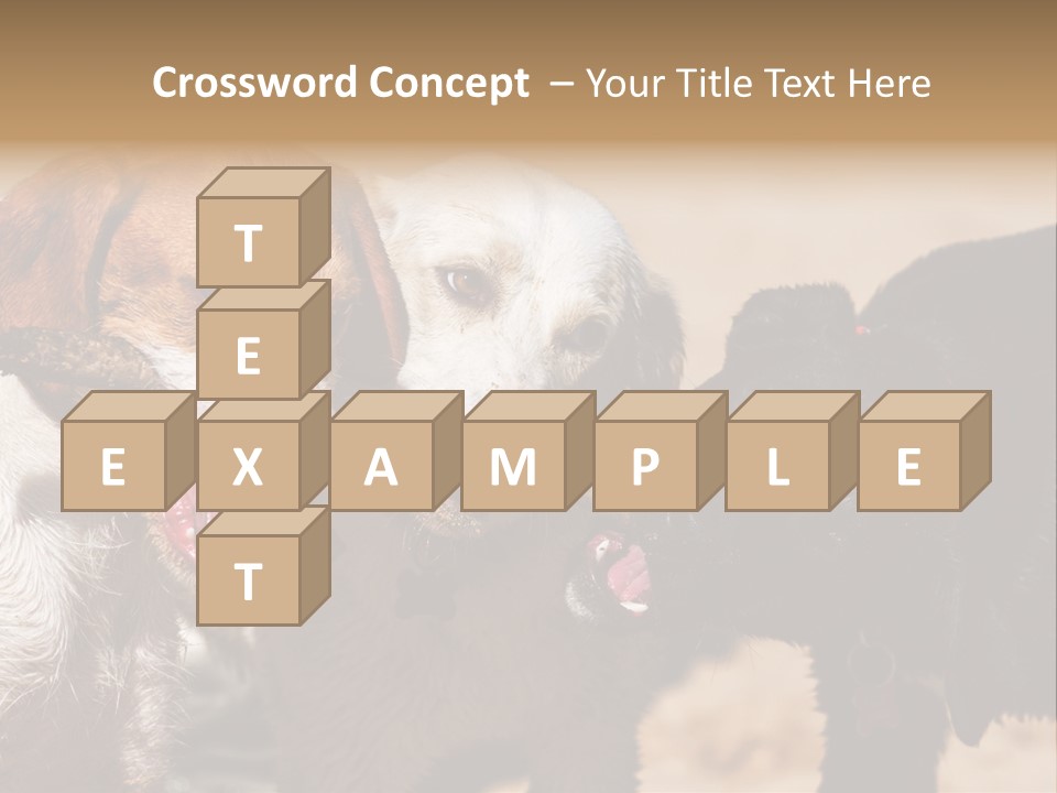 Animal Racing Active PowerPoint Template