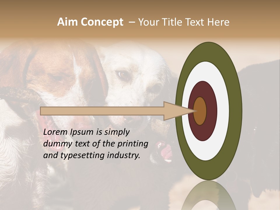 Animal Racing Active PowerPoint Template