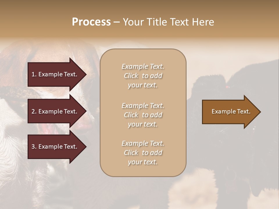 Animal Racing Active PowerPoint Template