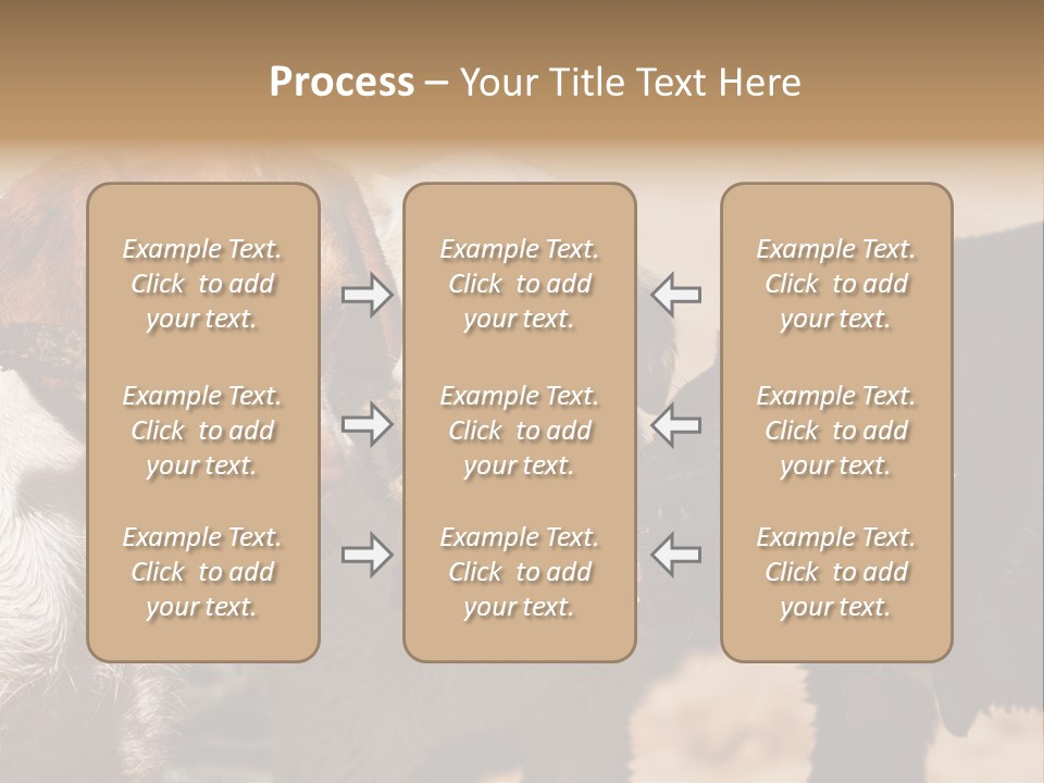 Animal Racing Active PowerPoint Template
