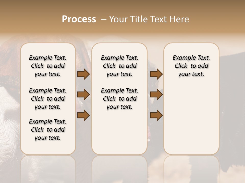 Animal Racing Active PowerPoint Template