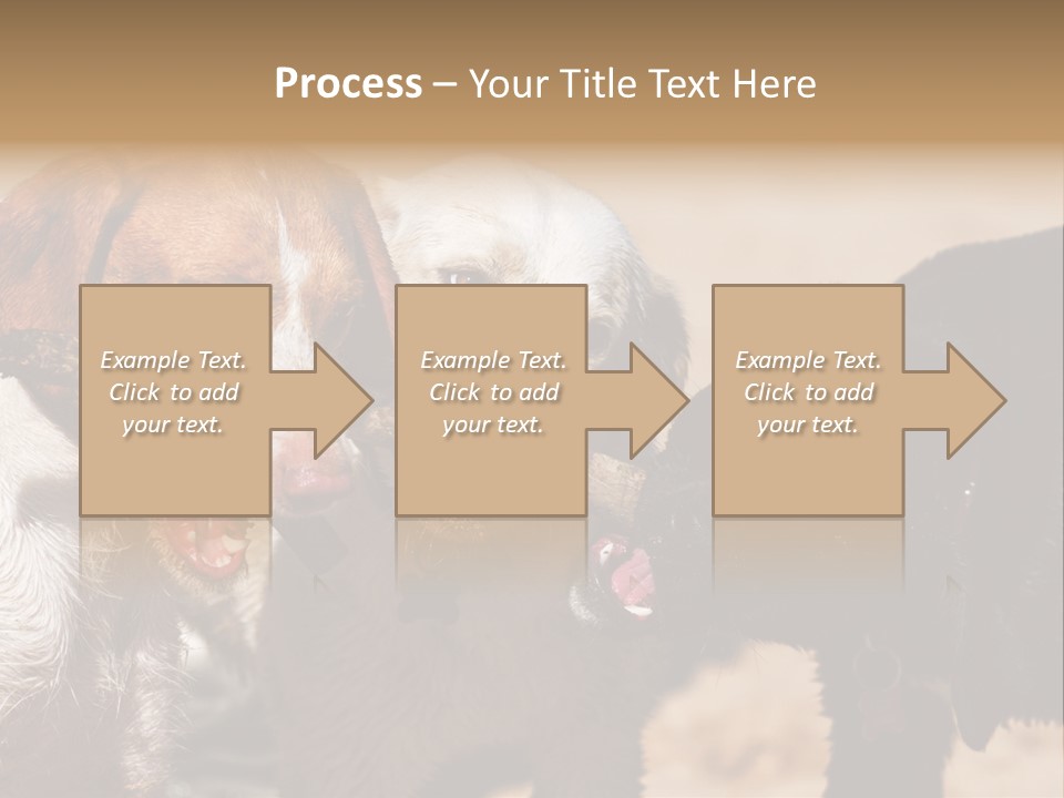 Animal Racing Active PowerPoint Template