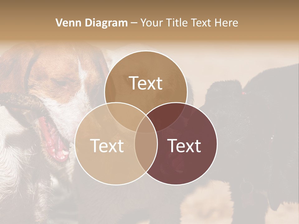 Animal Racing Active PowerPoint Template